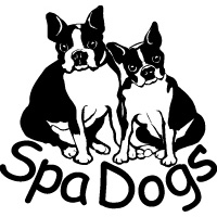 SpaDogs Art - Website